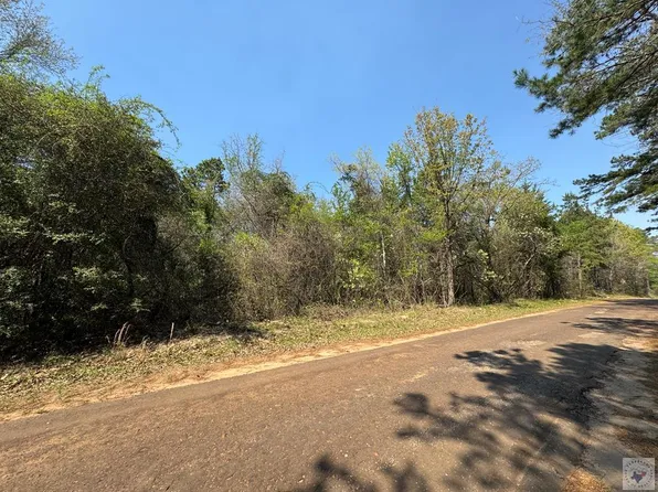 County Road 4451, Bivins, TX 75555