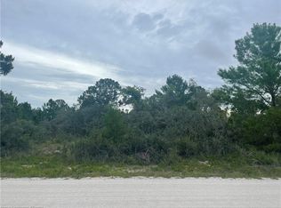 231 Roadrunner Ave, Sebring, FL 33870