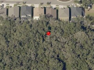 14206 Grubbs Ln, Riverview, FL 33569