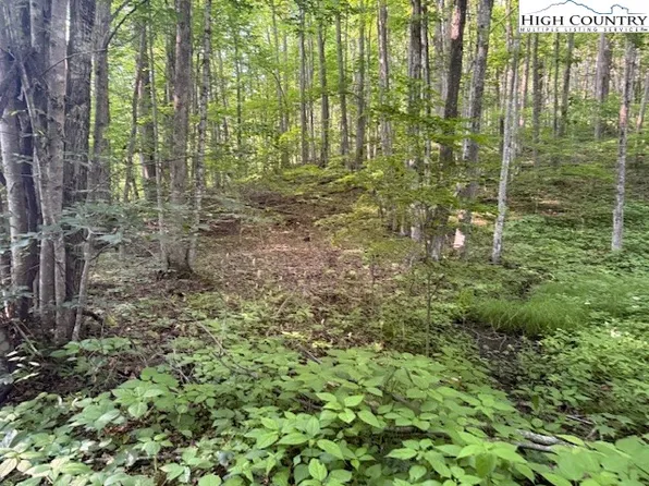 Lot 56 Beechwood Circle, Creston, NC 28615