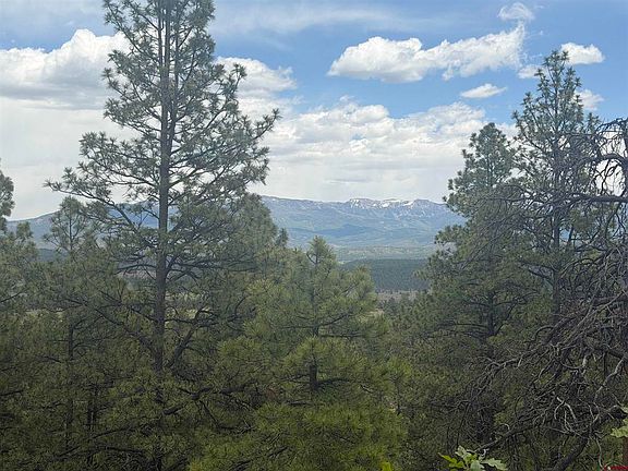 4th image of 2626 S Pagosa Boulevard