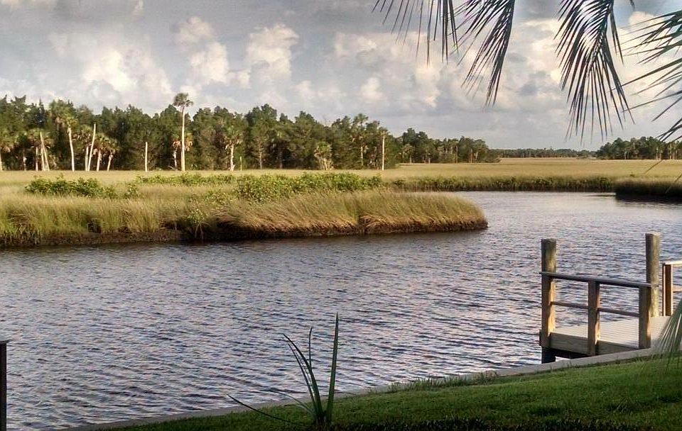 View from patio which overlooks The wildlife preserve