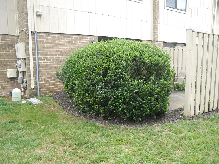 2438 Glengyle Dr — Photo 19