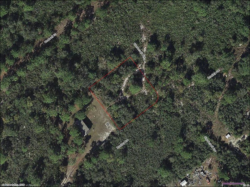 2nd image of 1214 Bradley Ave