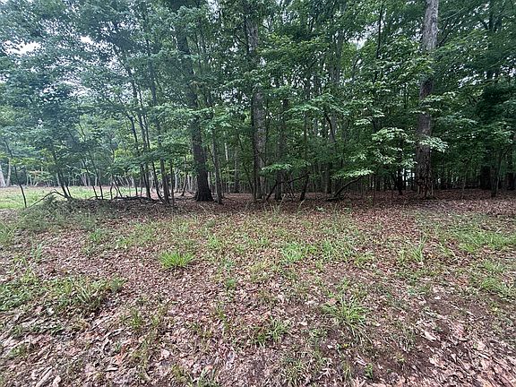 2nd image of 19 Saunders Point Rd