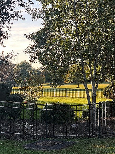 Golf view from back