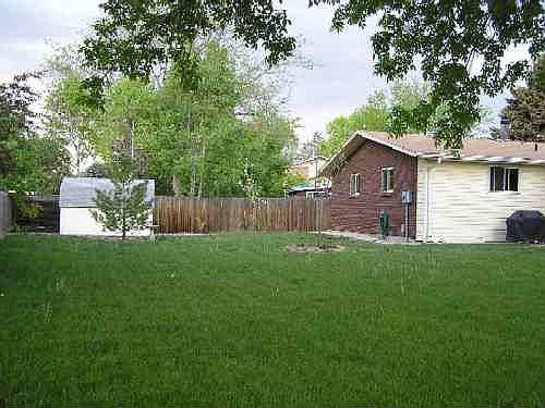 Backyard & Shed