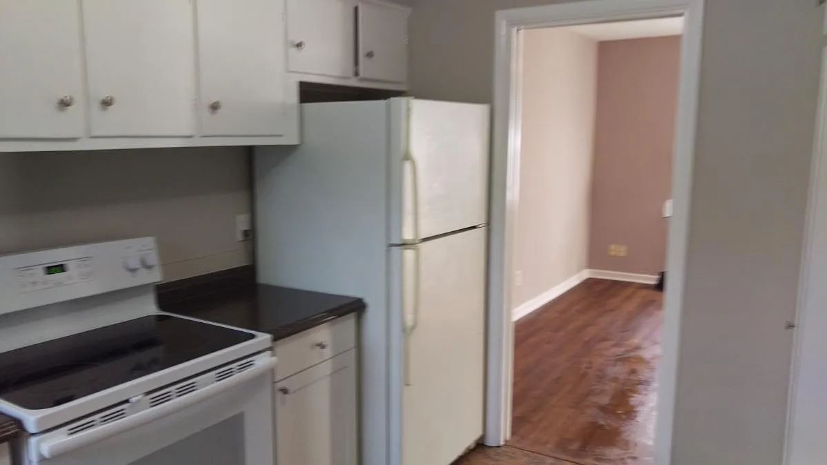 1 bed, 550 sqft, $1,145 — Photo 4