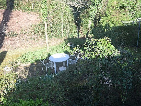 Lower backyard private space