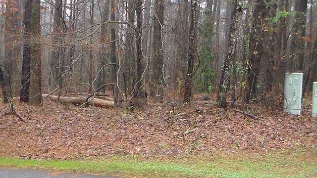 1st image of Crystal Creek Dr