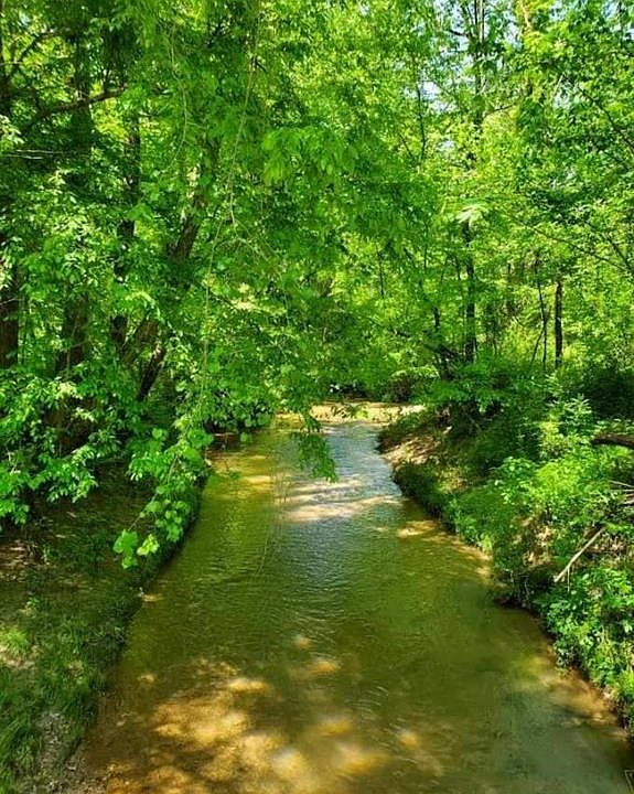2nd image of 1213 Lords Mill Rd Lot 0