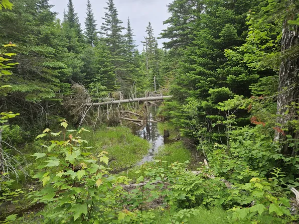 M17 L5&11 Number 7 Road, Steuben, ME 04680