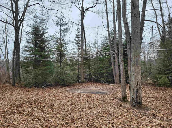 LOT 39 Doe St, Gladwin, MI 48624