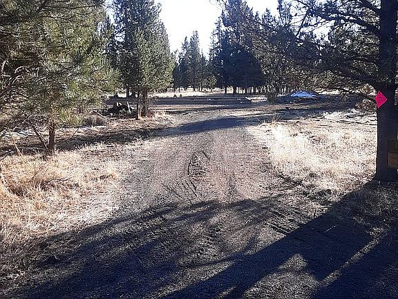 3rd image of 12242 Larchwood Dr