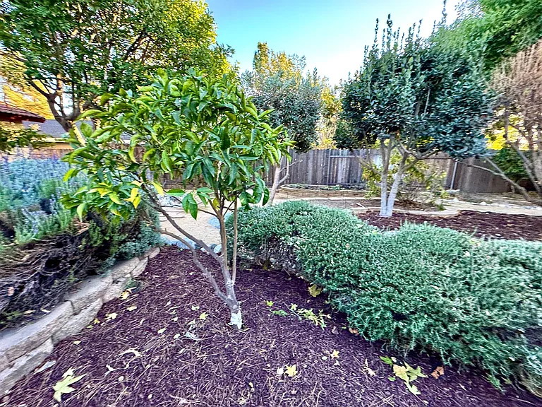 1713 Shenandoah Dr — Photo 27
