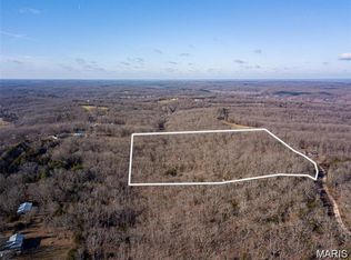 317 Fern Ct, Saint Clair, MO 63077