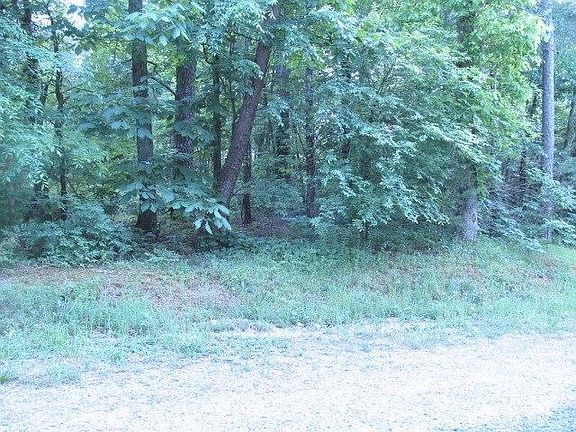 5th image of 144 Dove Dr