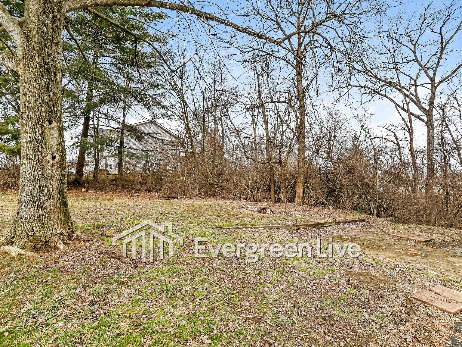 3 bed, 1.5 bath, 1404 sqft, $1,495 — Photo 3