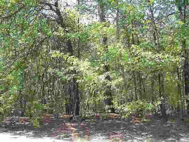 2nd image of tbd Danville Lane