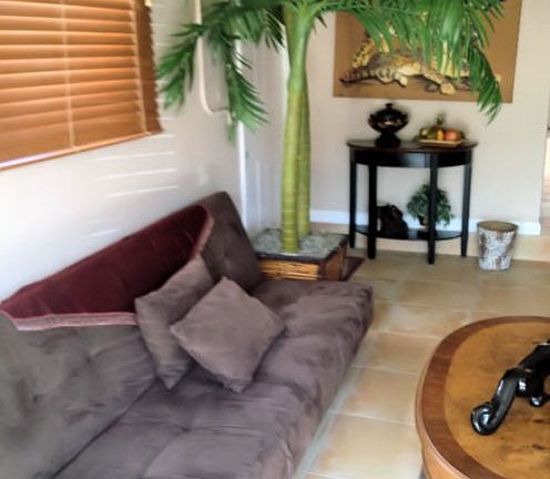 Den with futon