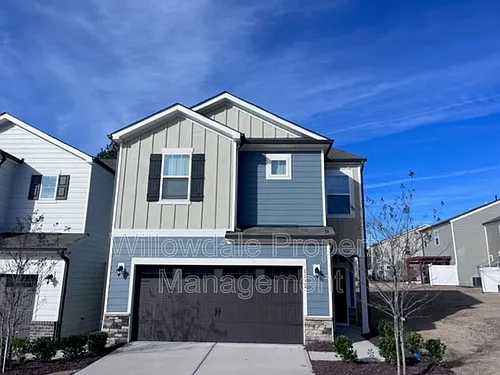 1132 Chestnut Bluff Run Photo 1