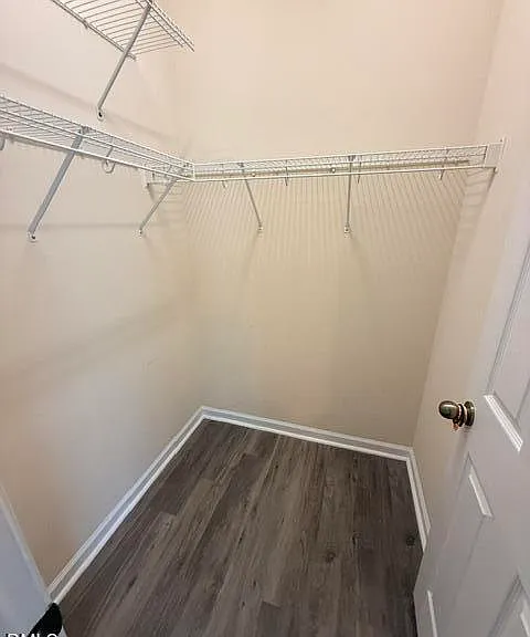 806 Carpenter Glenn Dr — Photo 29