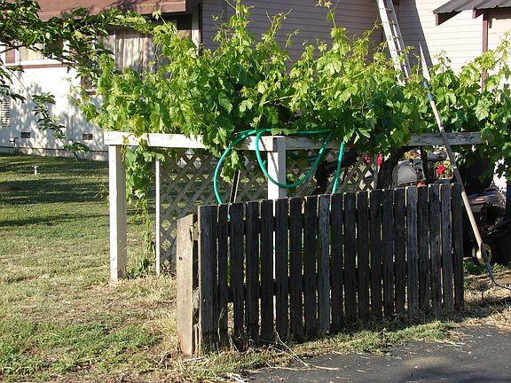 4th image of 10535 W Rose Ave