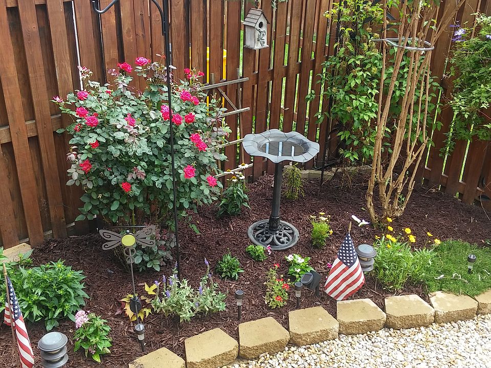 Backyard Garden