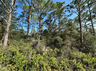 159 Deer, Satsuma, FL 32189