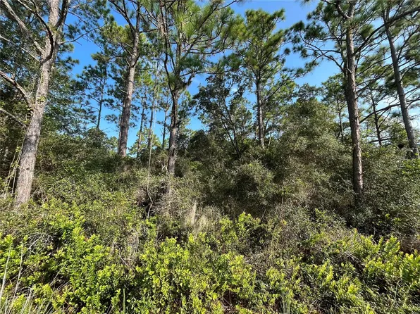 (undisclosed Address), Satsuma, FL 32189