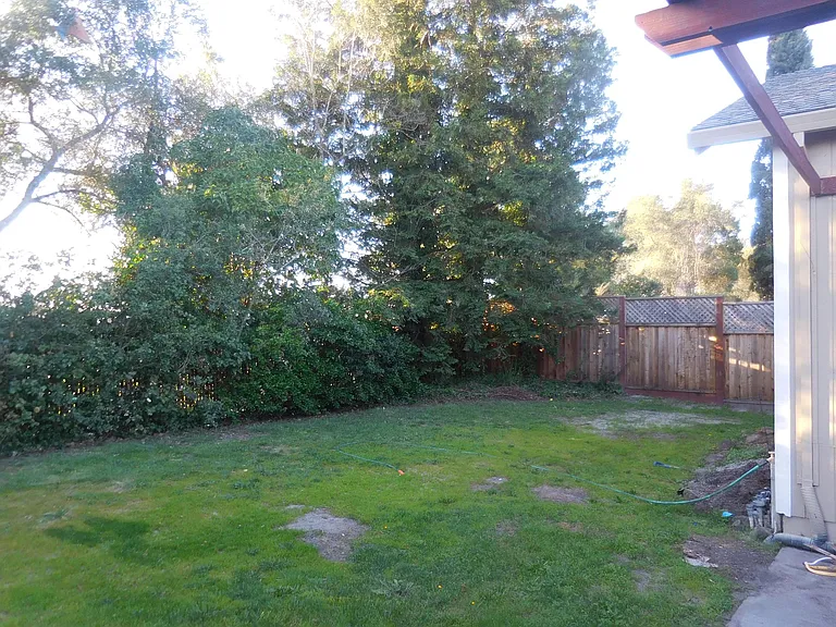 379 Firelight Dr — Photo 20