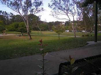5th image of 3253 Caminito Eastbluff Cir #30