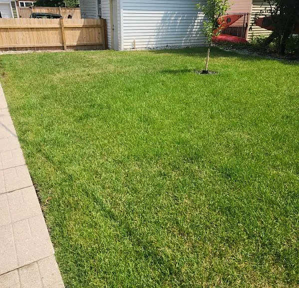 backyard view of garage