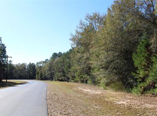 17682 Saddle Horn Dr, Waller, TX 77484