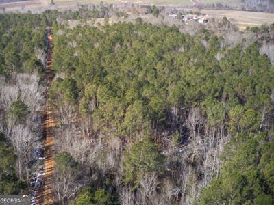 0 Jenk Hill Rd, Sylvania, GA, 30467