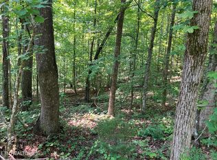 1 Tumbling Run Est, Maynardville, TN 37807