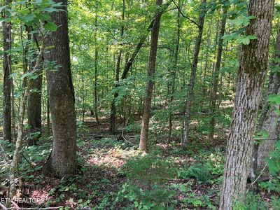 1 Tumbling Run Est, Maynardville, TN, 37807