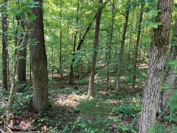 1 Tumbling Run Est, Maynardville, TN 37807