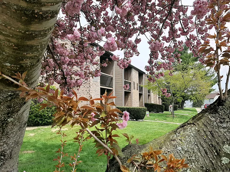 Pennswood Apartments and Townhomes — Photo 9