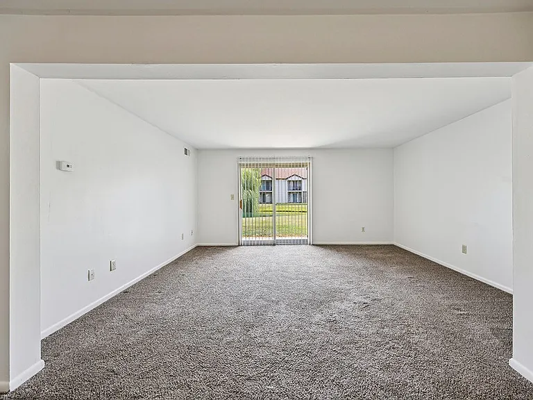 Cozy, Plush Carpeting