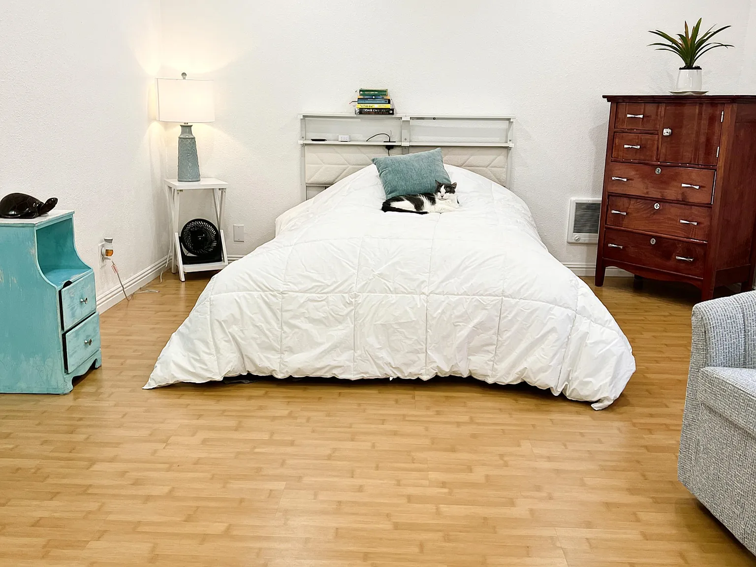 Studio, 490 sqft, $2,800 — Photo 1