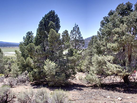 Lot/Land