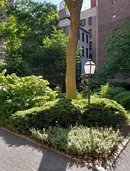 Rented by Bond New York
