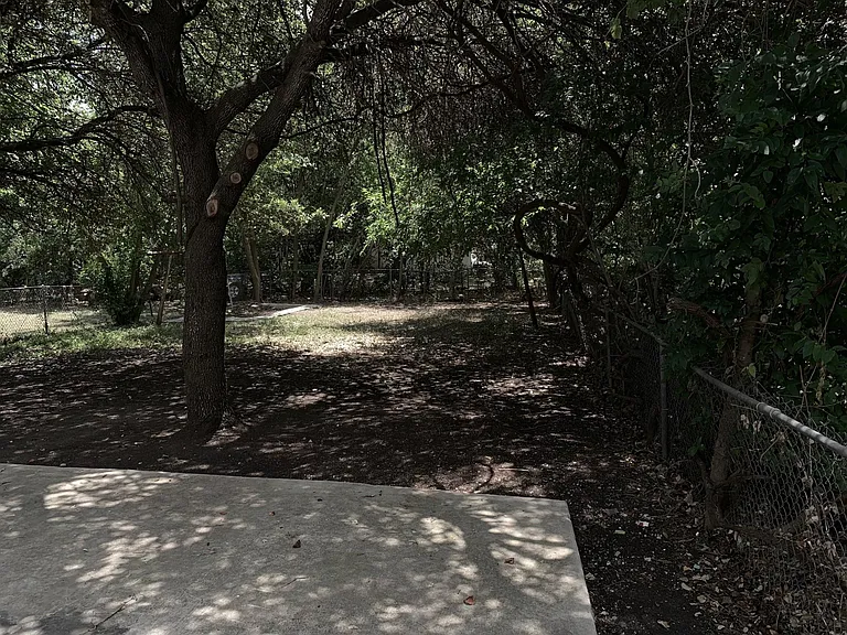 Back yard