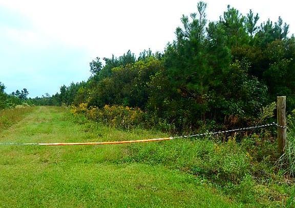3rd image of 69 Project Road LOT 69 Acres