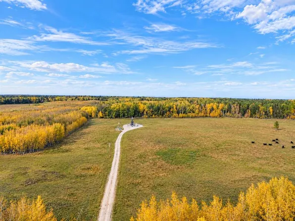 32310 Range Road 45, Mountain View County, AB T0M 1X0