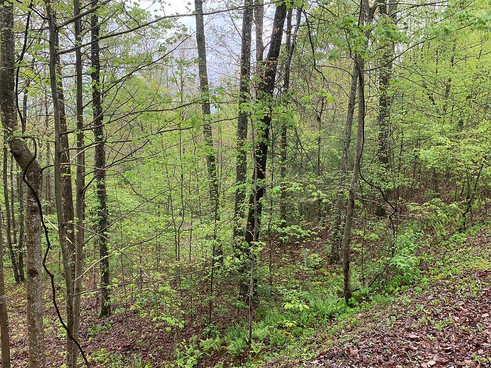 1st image of 99 Nelson Cir Lot 3
