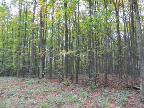 Maxam Rd, Frederic, MI 49733