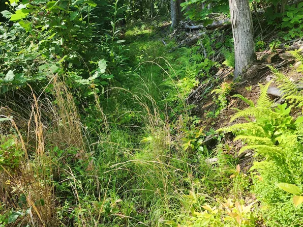 T Greer Rd, Mountain City, TN 37683