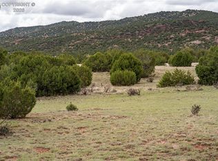 4 Iron Handle Rd, Penrose, CO 81240